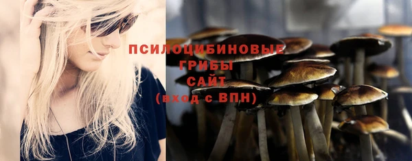 таблы Арсеньев