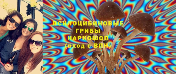 гидропоника Тавда